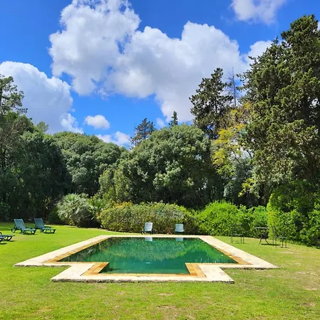 Hotel Casa Vina De Alcantara Jerez de la Frontera