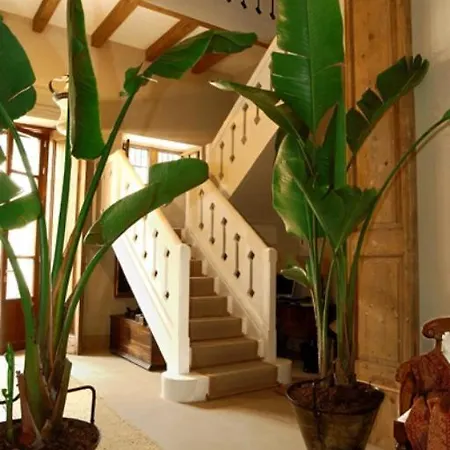 Hotel Casa Viña De Alcántara